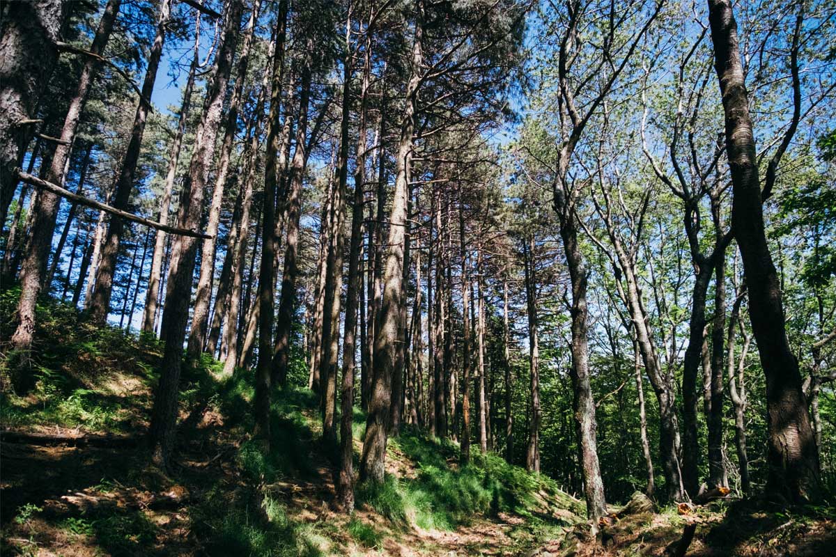 Domenica 18 maggio: le Cannicciaie della Riserva Naturale