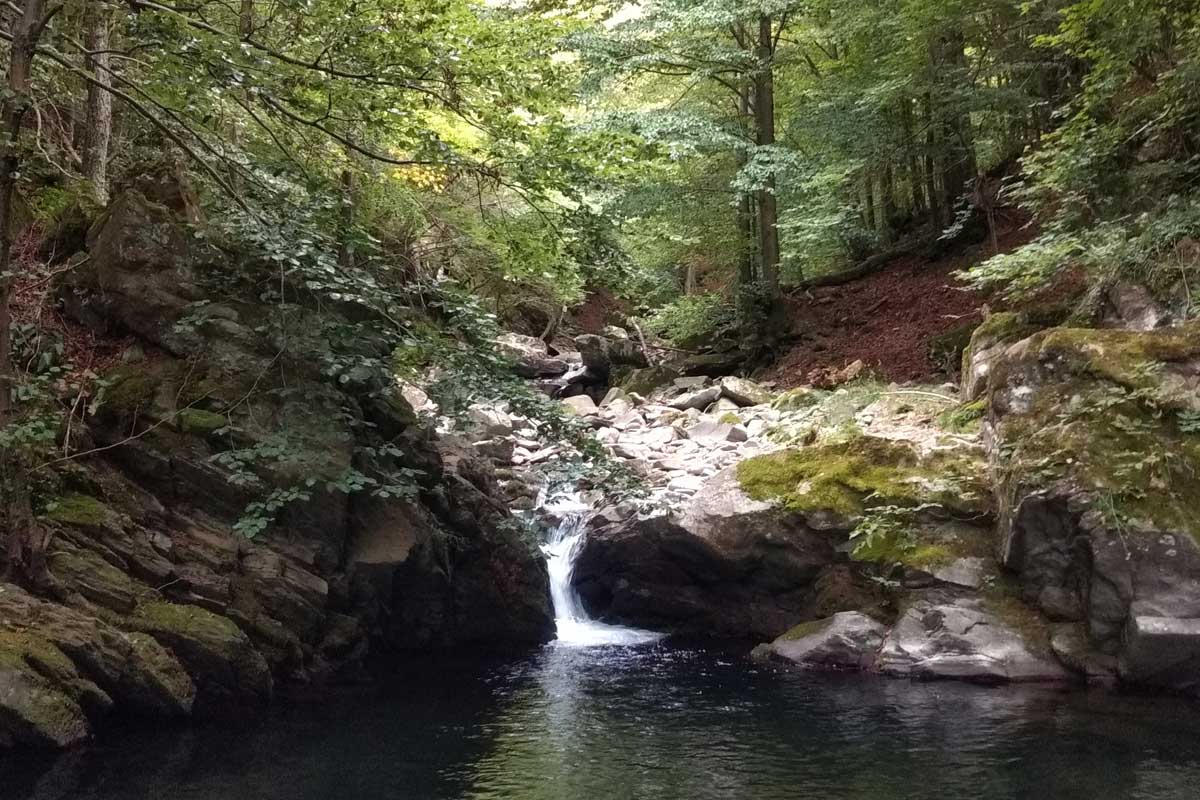 Domenica 10 agosto: il Limentra con bagno nel torrente